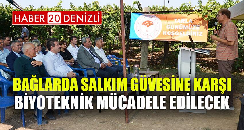 Bağlarda Salkım Güvesine Karşı Biyoteknik Mücadele Edilecek