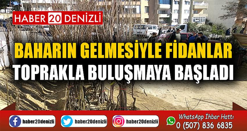 Baharın gelmesiyle fidanlar toprakla buluşmaya başladı