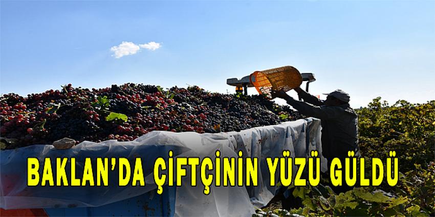 BAKLAN'DA ÇİFTÇİNİN YÜZÜ GÜLDÜ