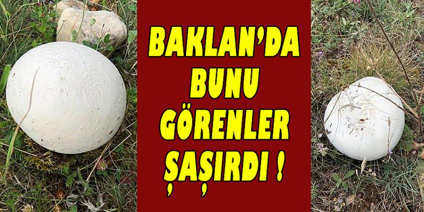 BAKLAN’DA BUNU GÖRENLER ŞAŞIRDI