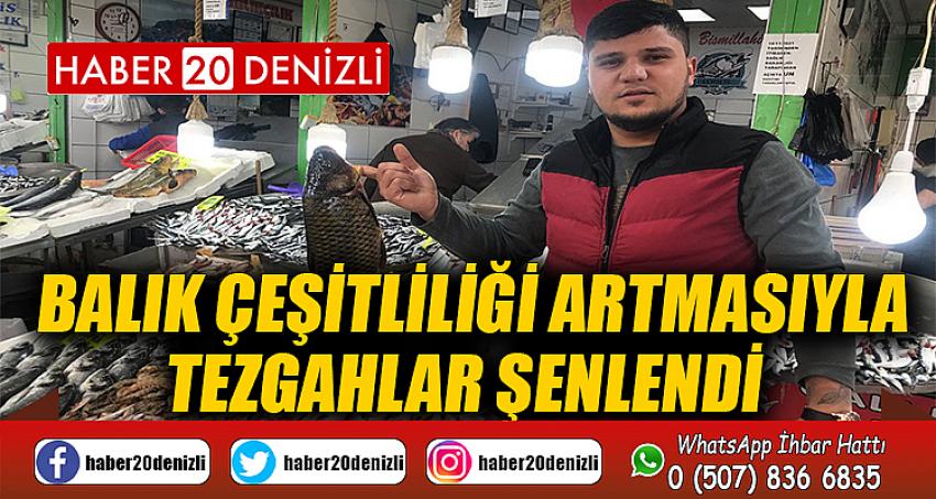 Balık çeşitliği artmasıyla tezgahlar şenlendi