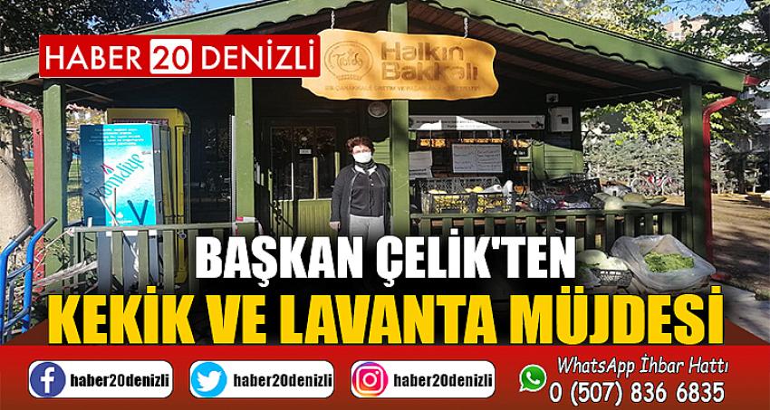 BAŞKAN ÇELİK'TEN KEKİK VE LAVANTA MÜJDESİ