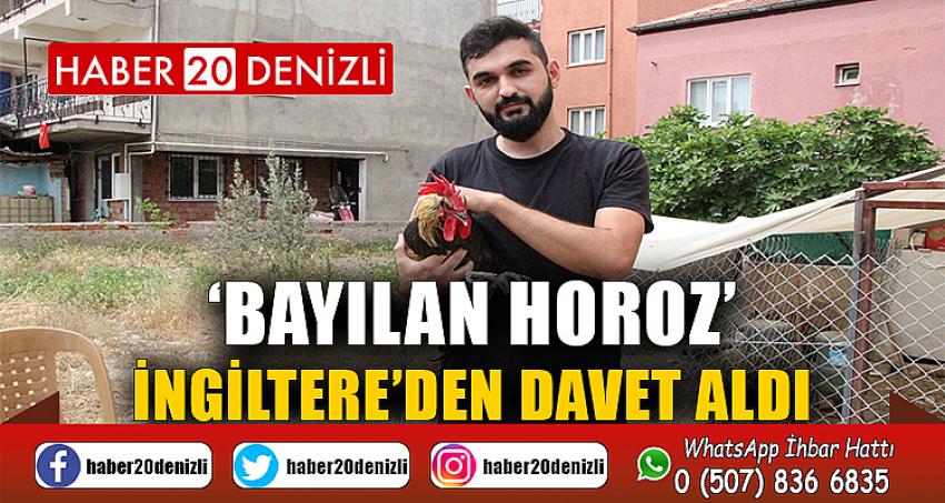 Ünü dünyaya yayılan ‘Bayılan horoz’ İngiltere’den davet aldı