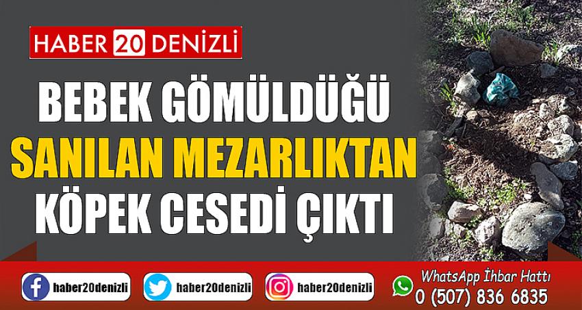 Bebek gömüldüğü sanılan mezarlıktan köpek cesedi çıktı