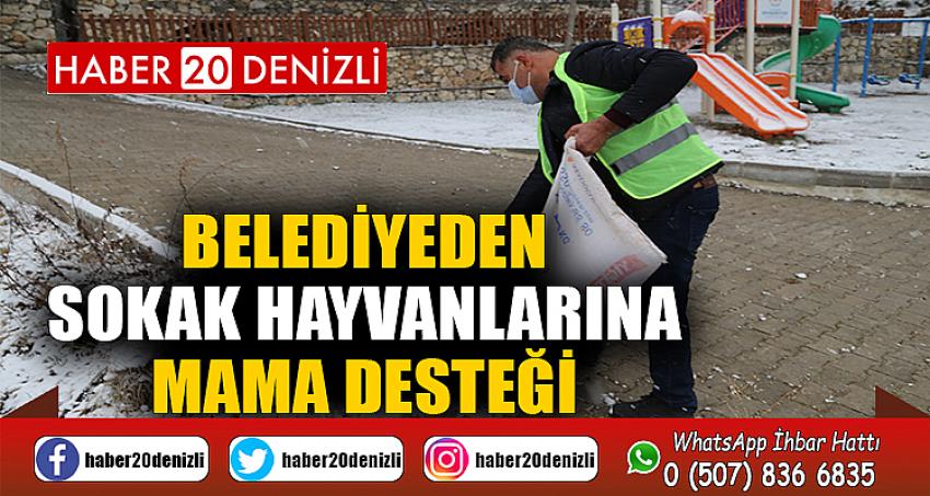 BELEDİYEDEN SOKAK HAYVANLARINA MAMA DESTEĞİ