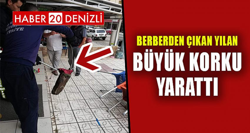 BERBERDEN ÇIKAN YILAN BÜYÜK KORKU YARATTI