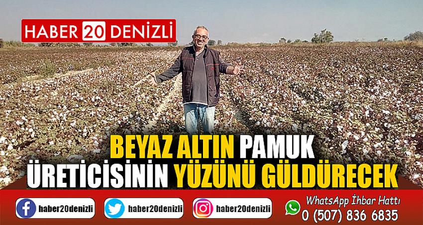 Beyaz altın pamuk üreticisinin yüzünü güldürecek