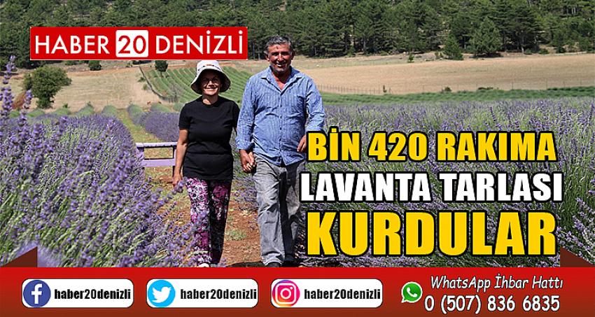 Bin 420 rakıma lavanta tarlası kurdular