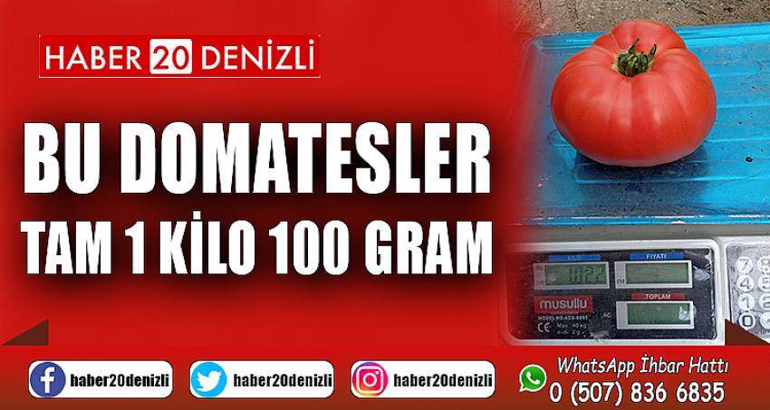 BU DOMATESLER TAM 1 KİLO 100 GRAM