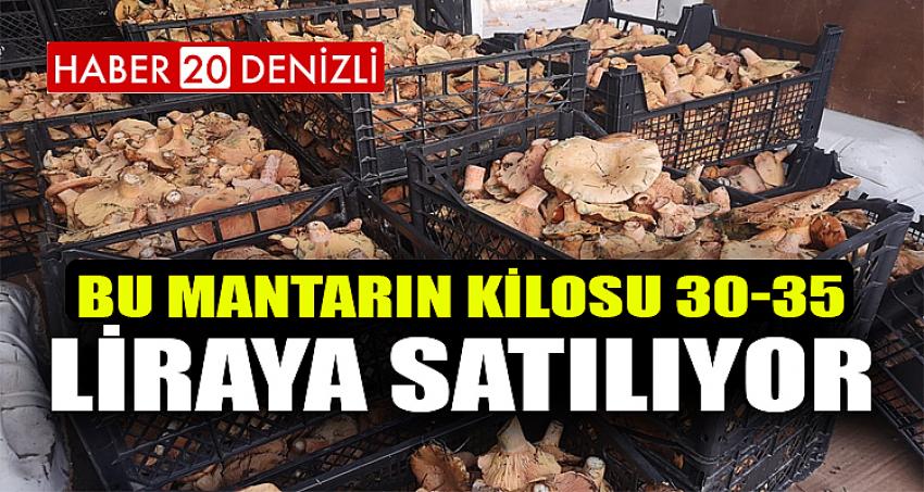 Bu Mantarın Kilosu 30-35 Liraya Satılıyor