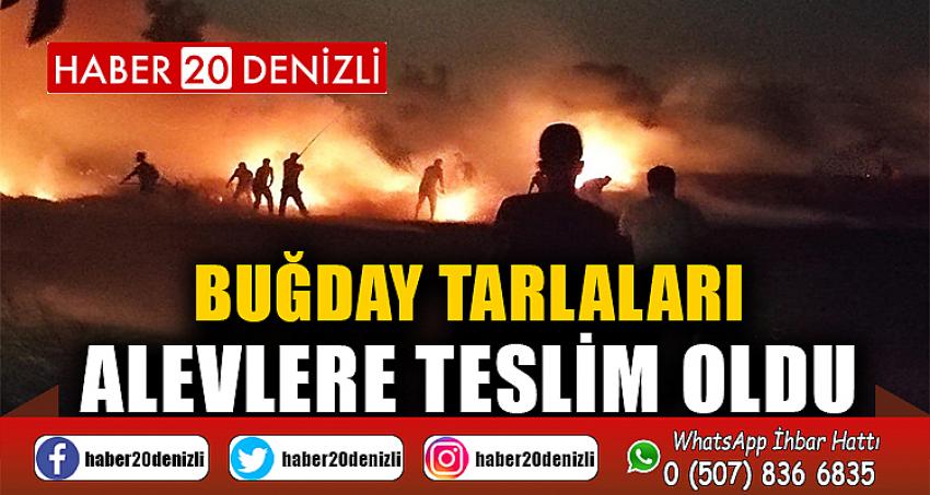 Buğday tarlaları alevlere teslim oldu