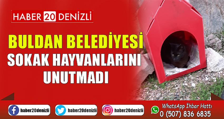 Buldan Belediyesi, Sokak hayvanlarını unutmadı