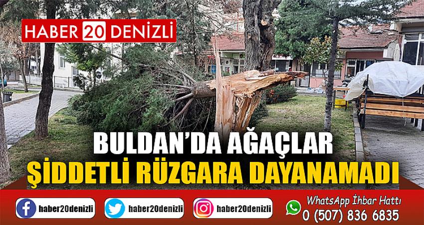 Buldan’da ağaçlar şiddetli rüzgara dayanamadı