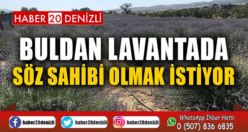 Buldan lavantada söz sahibi olmak istiyor