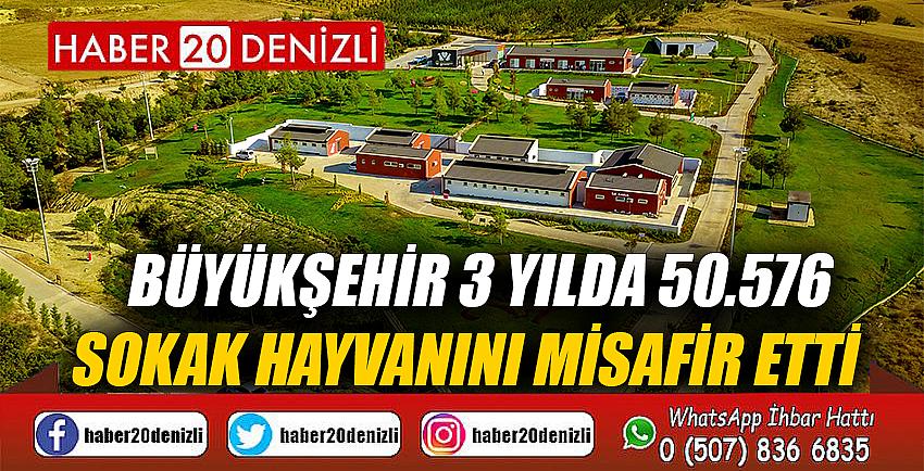 Büyükşehir 3 yılda 50.576 sokak hayvanını misafir etti