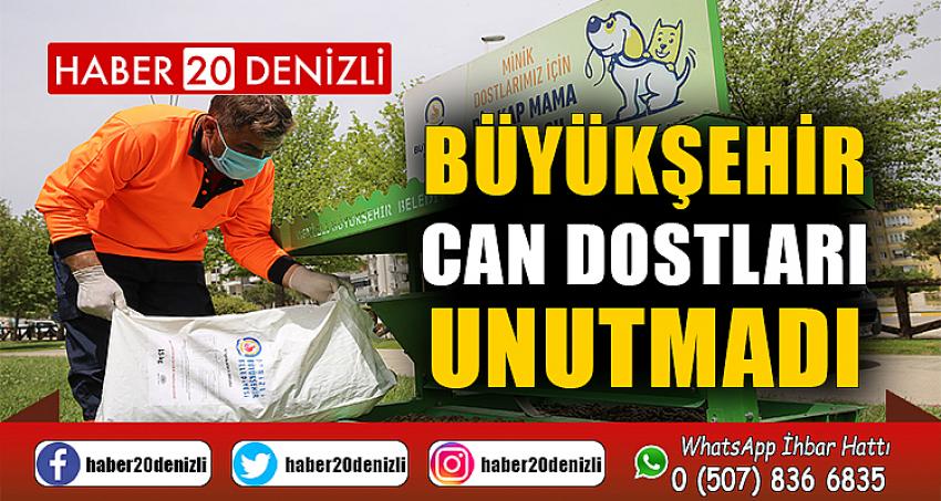 Büyükşehir can dostları unutmadı