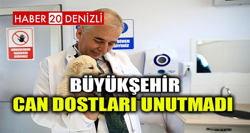 Büyükşehir can dostları unutmadı 