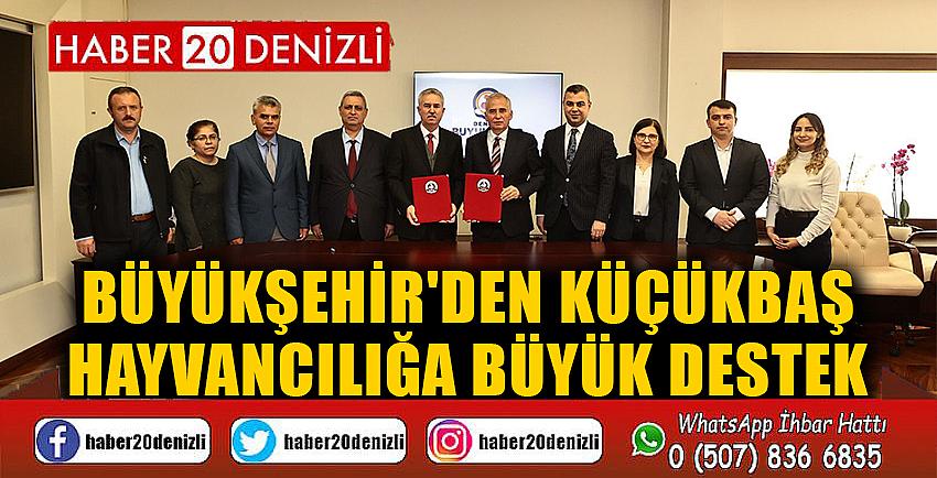 Büyükşehir'den küçükbaş hayvancılığa büyük destek