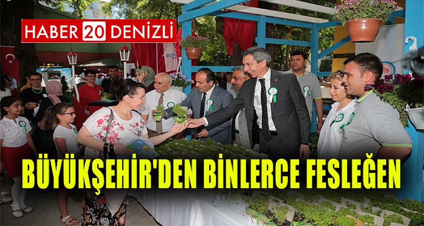 Büyükşehir'den binlerce fesleğen