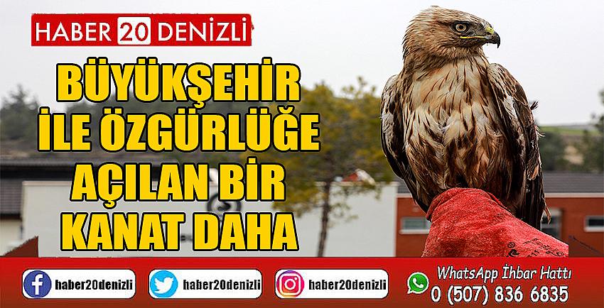 Büyükşehir ile özgürlüğe açılan bir kanat daha