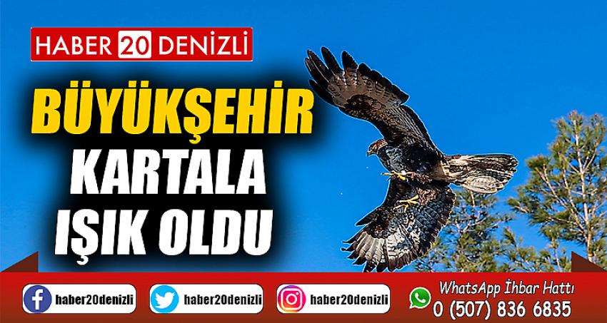 Büyükşehir kartala ışık oldu