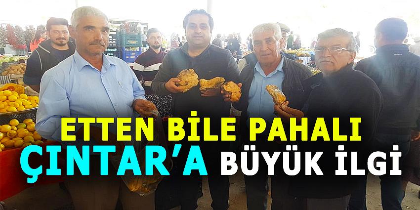 ETTEN BİLE PAHALI ÇINTAR'A BÜYÜK İLGİ