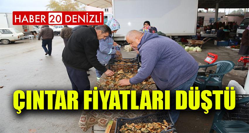 ÇINTAR FİYATLARI DÜŞTÜ