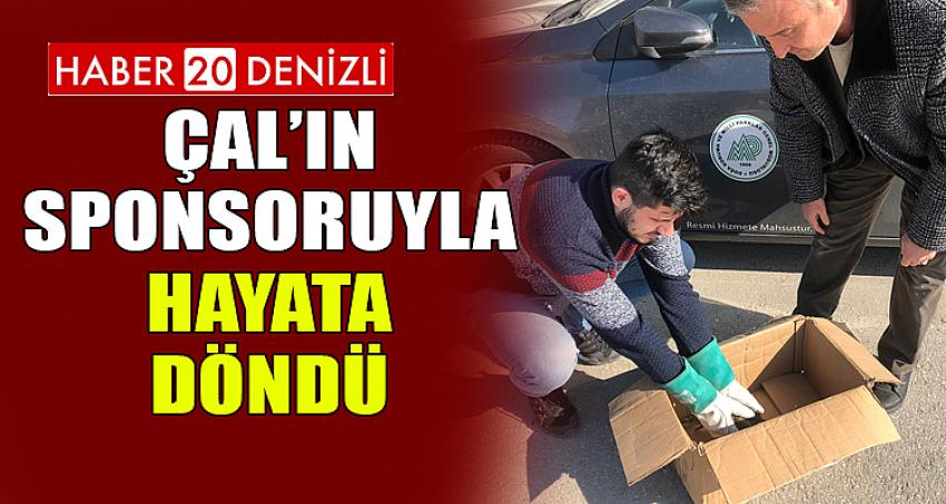 ÇAL’IN SPONSORUYLA HAYATA DÖNDÜ