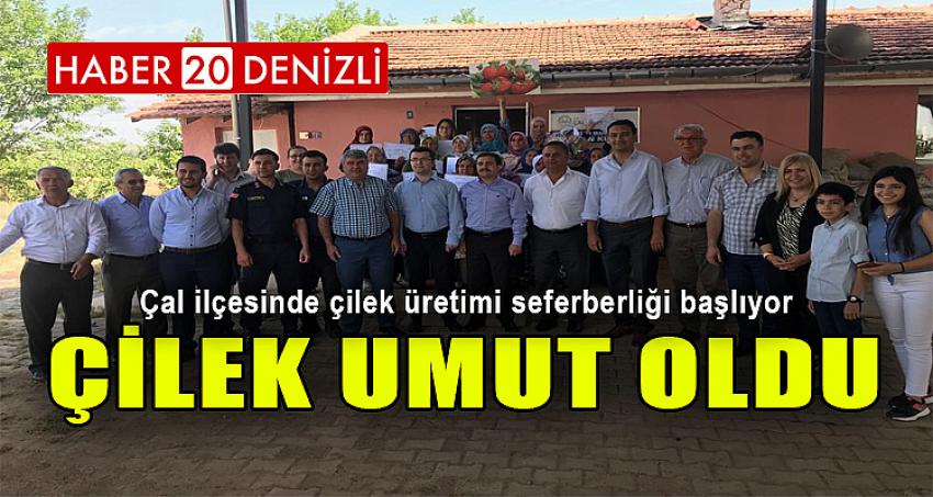 ÇİLEK UMUT OLDU