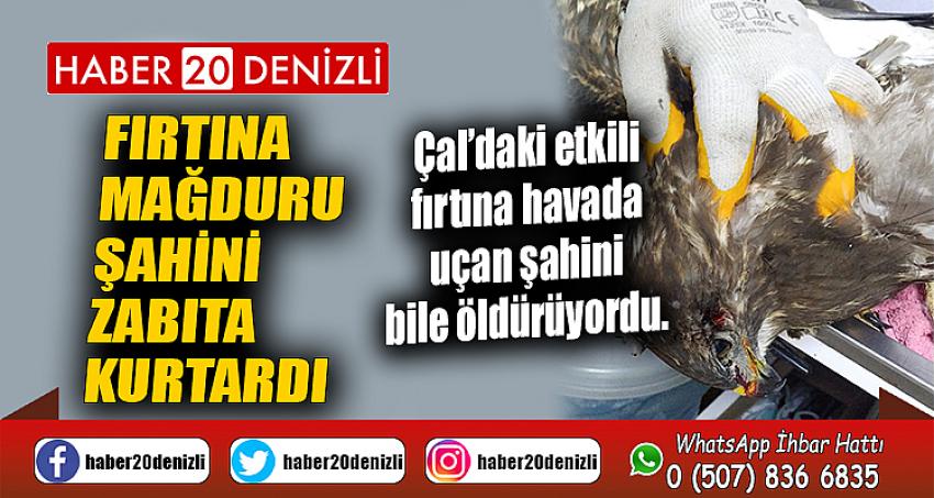 FIRTINA MAĞDURU ŞAHİNİ ZABITA KURTARDI