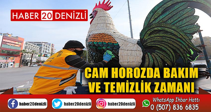 Cam horozda bakım ve temizlik zamanı