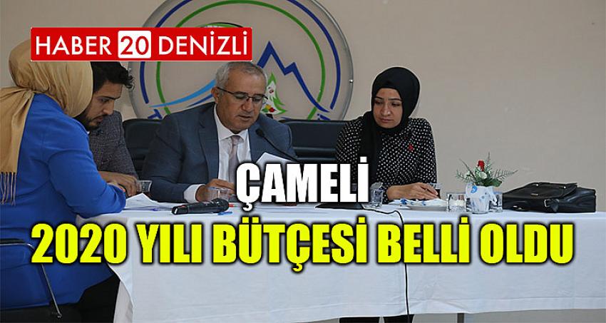 ÇAMELİ 2020 YILI BÜTÇESİ BELLİ OLDU