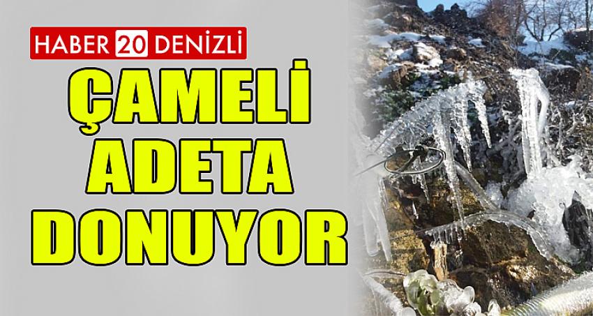 ÇAMELİ ADETA DONUYOR