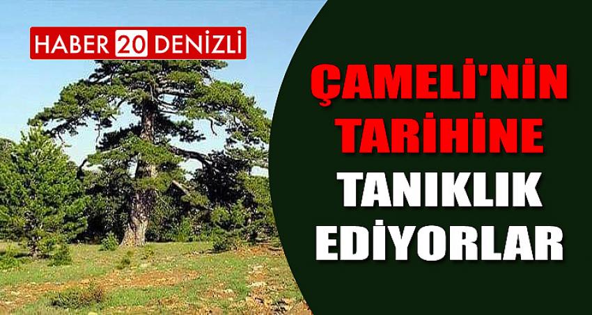 ÇAMELİ'NİN TARİHİNE TANIKLIK EDİYORLAR