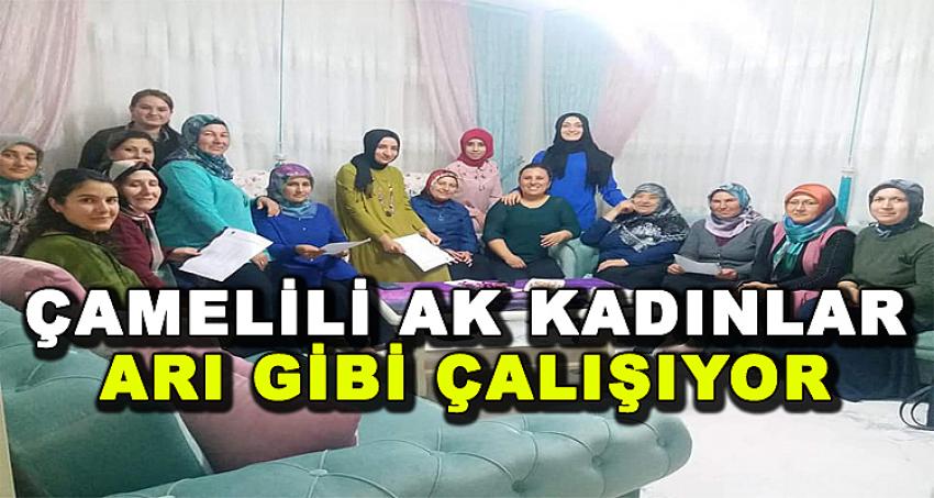 ÇAMELİ AK KADINLAR ARI GİBİ ÇALIŞIYOR