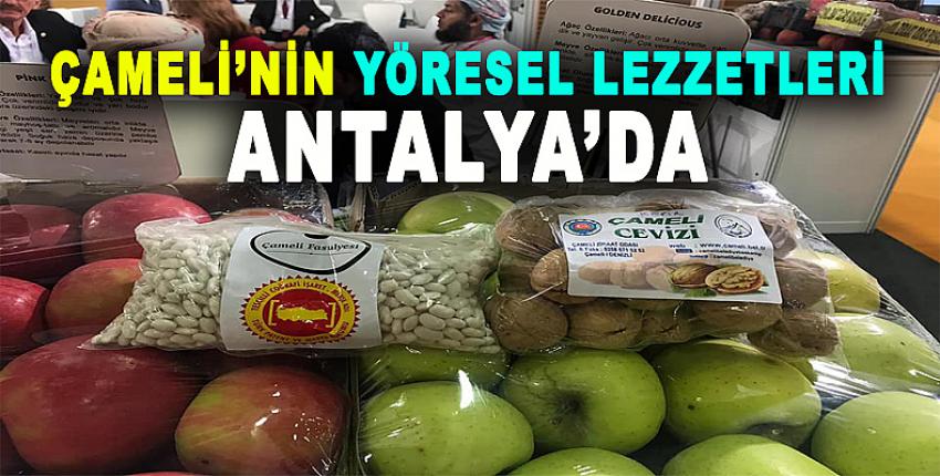 ÇAMELİ’NİN YÖRESEL LEZZETLERİ ANTALYA’DA