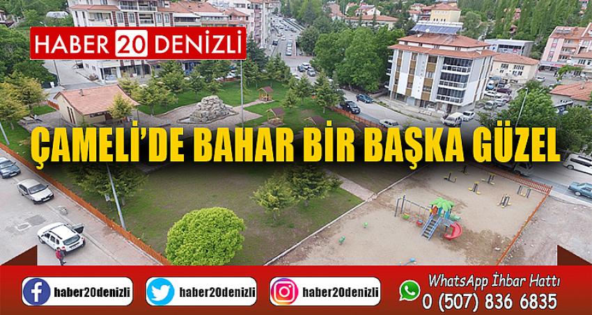 ÇAMELİ’DE BAHAR BİR BAŞKA GÜZEL