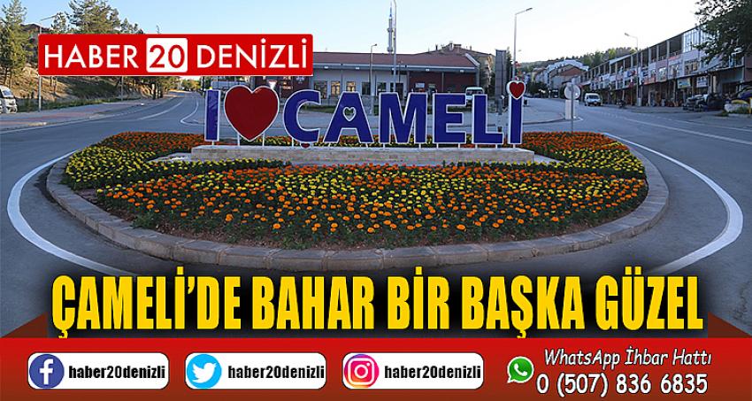 ÇAMELİ’DE BAHAR BİR BAŞKA GÜZEL