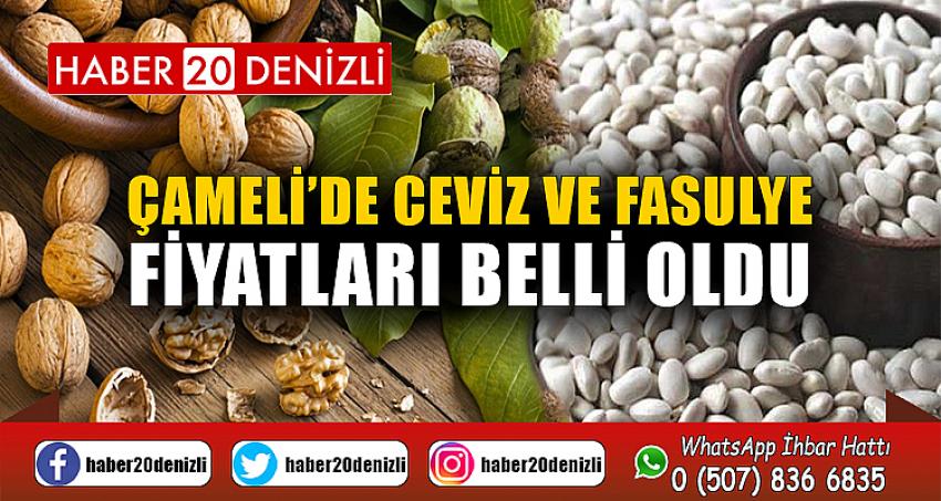 Çameli’de ceviz ve fasulye fiyatları belli oldu