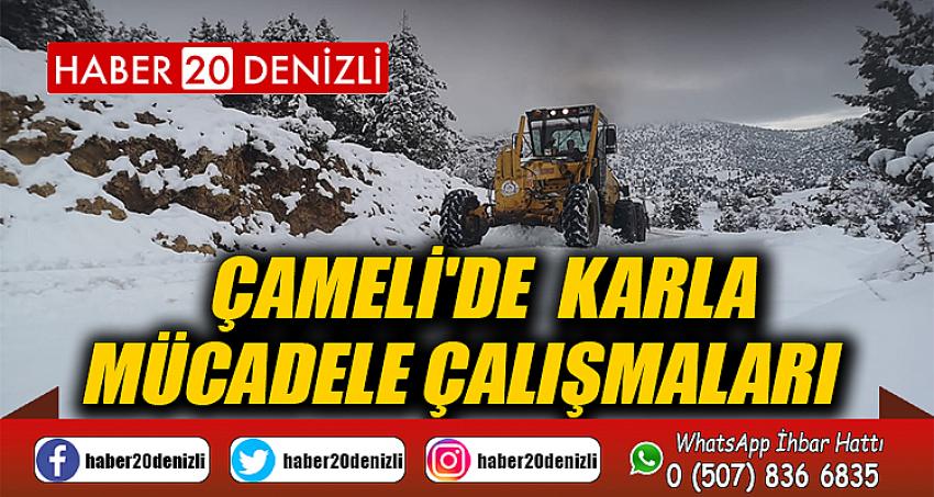 Çameli'de Karla Mücadele Çalışmaları 