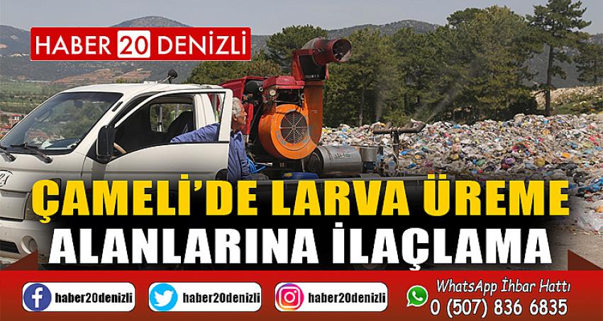 ÇAMELİ’DE LARVA ÜREME ALANLARINA İLAÇLAMA