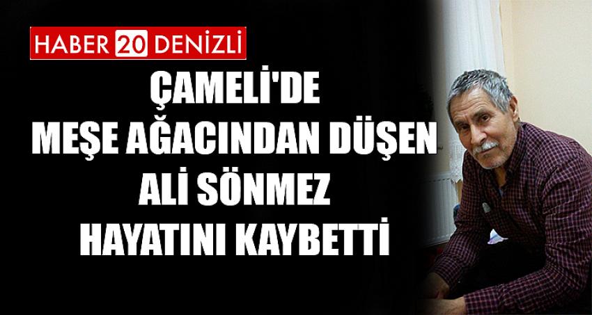 ÇAMELİ'DE MEŞE AĞACINDAN DÜŞEN ALİ SÖNMEZ HAYATINI KAYBETTİ