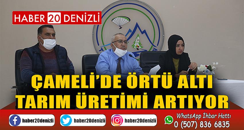 ÇAMELİ’DE ÖRTÜ ALTI TARIM ÜRETİMİ ARTIYOR