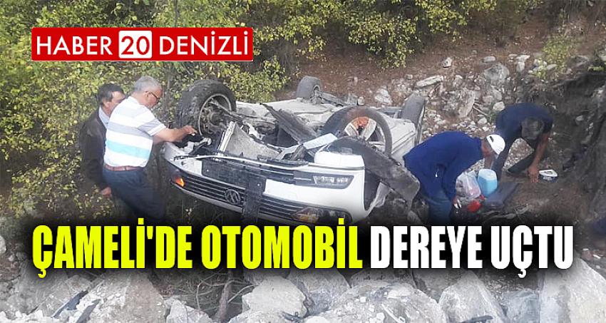 Çameli'de Otomobil Dereye Uçtu