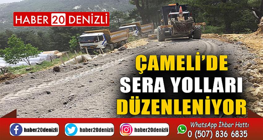 Çameli’de Sera Yolları Düzenleniyor