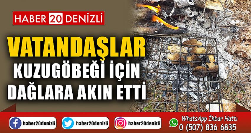 Çameli’de vatandaşlar kuzugöbeği için dağlara akın etti