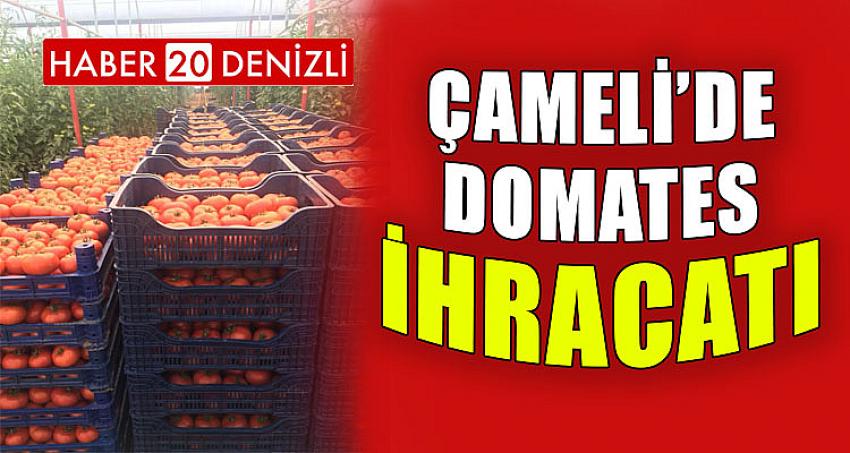 ÇAMELİ’DE DOMATES İHRACATI