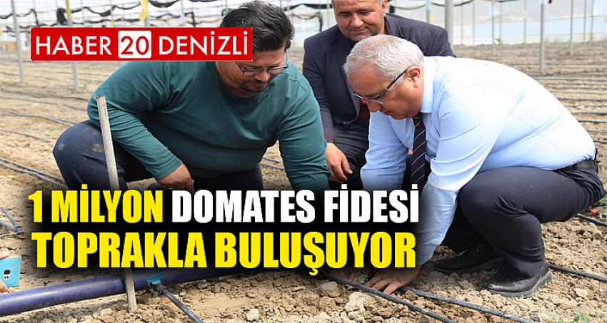 1 MİLYON DOMATES FİDESİ TOPRAKLA BULUŞUYOR