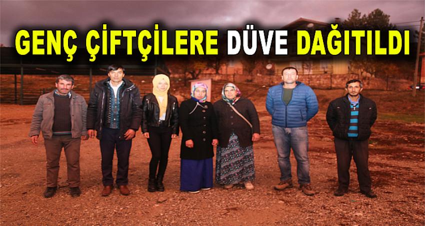 GENÇ ÇİFTÇİLERE DÜVE DAĞITILDI