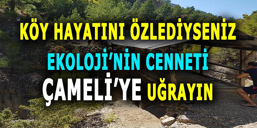 KÖY HAYATINI ÖZLEDİYSENİZ EKOLOJİNİN CENNETİ ÇAMELİ'YE UĞRAYIN